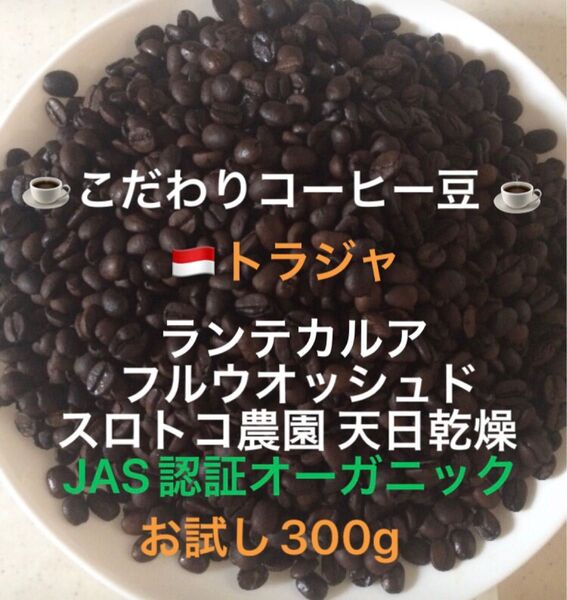 こだわりコーヒー豆 トラジャ ランテカルア お試し300g JAS認証オーガニック スロトコ農園 中深煎り 自家焙煎 ウォッシュド