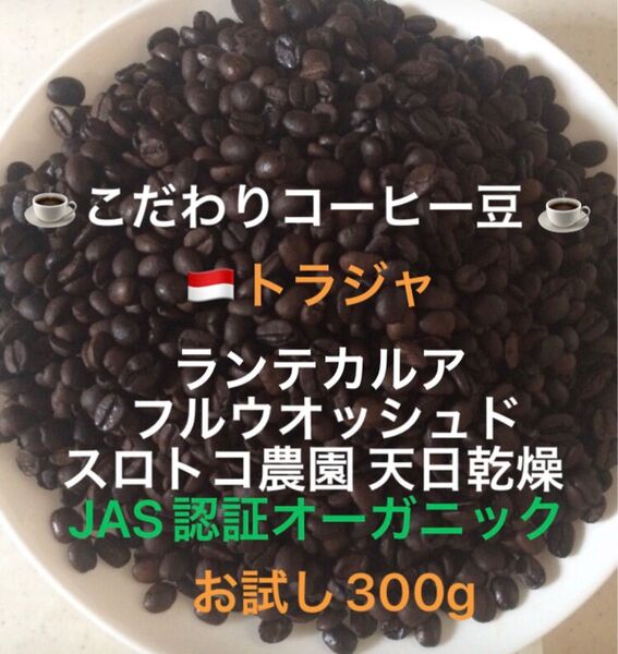 こだわりコーヒー豆 トラジャ ランテカルア お試し300g JAS認証オーガニック スロトコ農園 中深煎り 自家焙煎 ウォッシュド