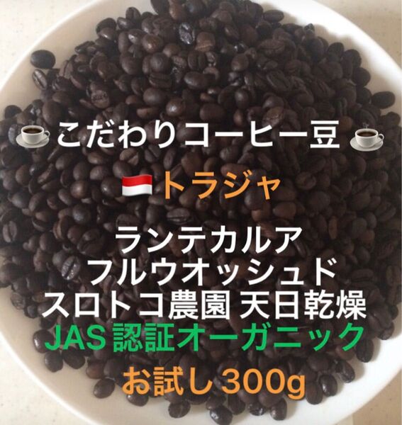 こだわりコーヒー豆 トラジャ ランテカルア お試し300g JAS認証オーガニック スロトコ農園 中深煎り 自家焙煎 ウォッシュド