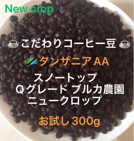 こだわりコーヒー豆 タンザニアAA スノートップ お試し300g 中深煎り 自家焙煎珈琲 ブルカ農園 Qグレード ニュークロップ