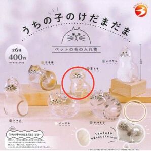 うちの子のけだまだま 茶トラ 新品未開封