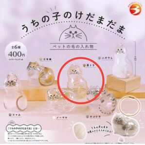 うちの子のけだまだま 茶トラ 5