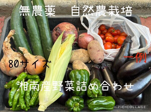 自然農栽培 湘南お野菜詰め合わせセット80サイズ5kgまで*価格相談ご遠慮下さい