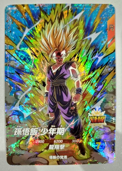 新品 ドラゴンボール スーパーダイバーズ SDV5-076 GDR 孫悟飯:少年期 宝箱ゴッドレアキャンペーン