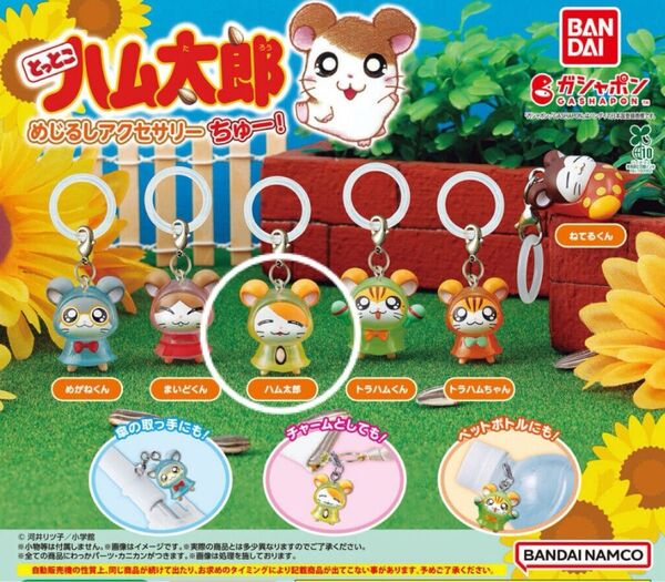 とっとこハム太郎 めじるしアクセサリー ちゅー ハム太郎
