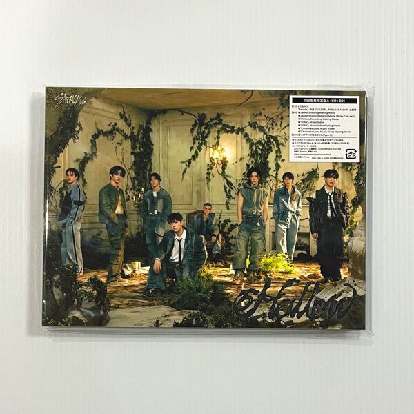 Stray Kids Hollow 初回生産限定盤A CD(シリアル・トレカ・その他封入物・特典等なし)