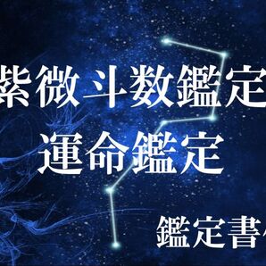 占い 紫微斗数占術鑑定 飛星派 ※鑑定書付