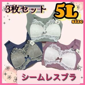 【5L】シームレスブラ 3色セット ノンワイヤー ナイトブラ 大きいサイズ