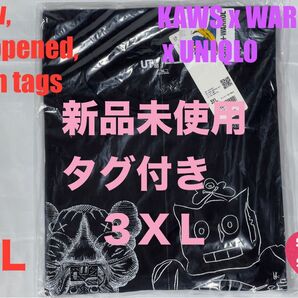 3XL☆新品☆UNIQLO×KAWS+WARHOL カウズ+ウォーホル UT⑧