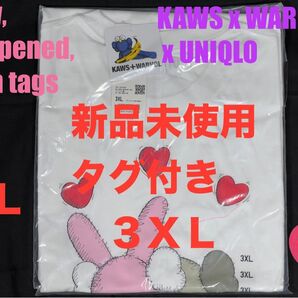 3XL☆新品☆UNIQLO×KAWS+WARHOL カウズ+ウォーホル UT⑥