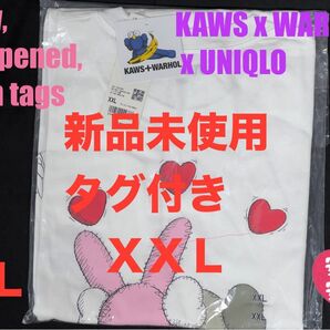 XXL☆新品☆UNIQLO×KAWS+WARHOL カウズ+ウォーホル UT⑥