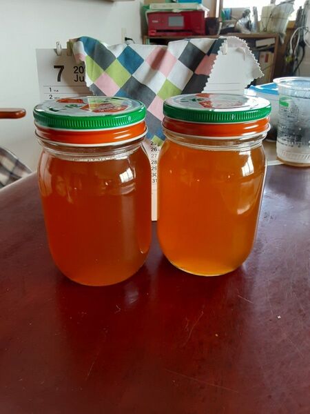 日本蜜蜂の蜂蜜 百花蜜 500gー2本NO-5