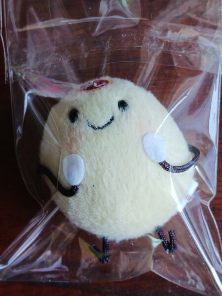 新品 ヨード卵光マスコット ひかりん ぬいぐるみマグネット付き