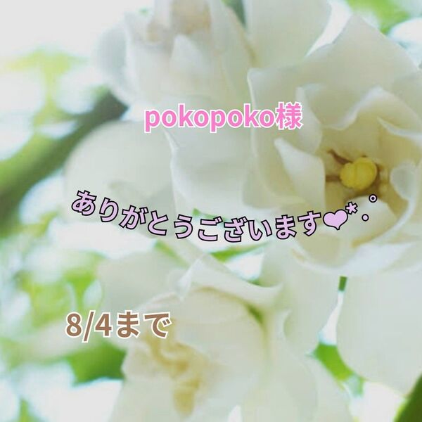 pokopoko様 おまとめパーツ(o^^o)