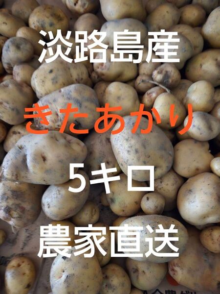 新じゃがいもキタアカリ5kg 兵庫県産 農薬不使用