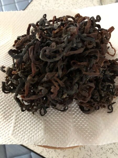 ☆乾燥ぜんまい☆ 太 100g 令和7年 魚沼産 天然 手揉み 天日干し 山菜