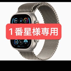 Apple Watch Ultra 2 1番星様専用