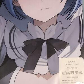 抱き枕カバー Re:ゼロから始める異世界生活 レム