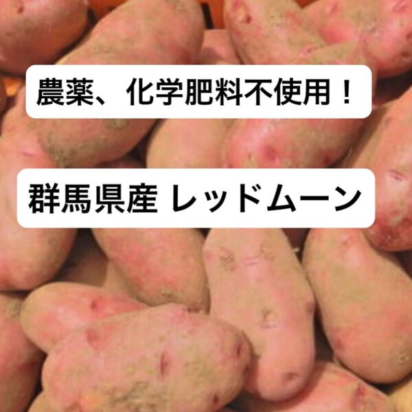 群馬県産 じゃがいも レッドムーン 4kg