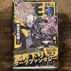 シュリンク付き 冥王の柘榴 1 ( SHONEN CHAMPION COMICS ) 1巻 菅野文 /著 帯付き 初版