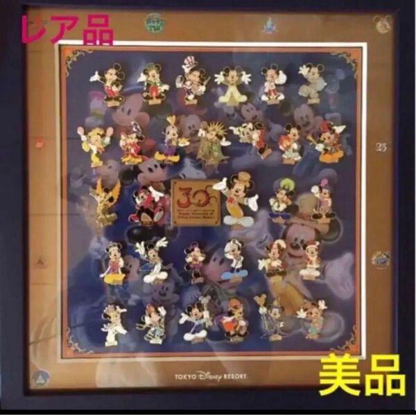 ディズニーランド 30周年記念 コレクタブルピンバッチ