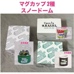 嵐 嵐を旅する展覧会 This is 嵐 マグカップ スノードーム