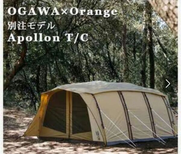 【アポロンT/C】Orange別注ogawa【限定販売品】