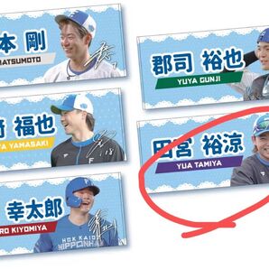 FAV入会特典タオル 田宮裕涼選手