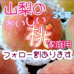 山梨県産桃3㌔箱家庭用