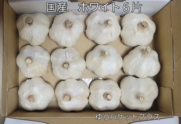 国産 ホワイト6片 12個 ゆうパケットプラス発送