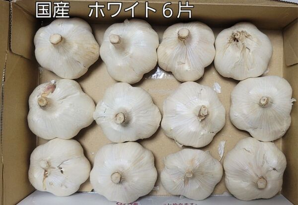 生物なので出品は数日です。国産 ホワイト6片 12個 ゆうパケットプラス発送