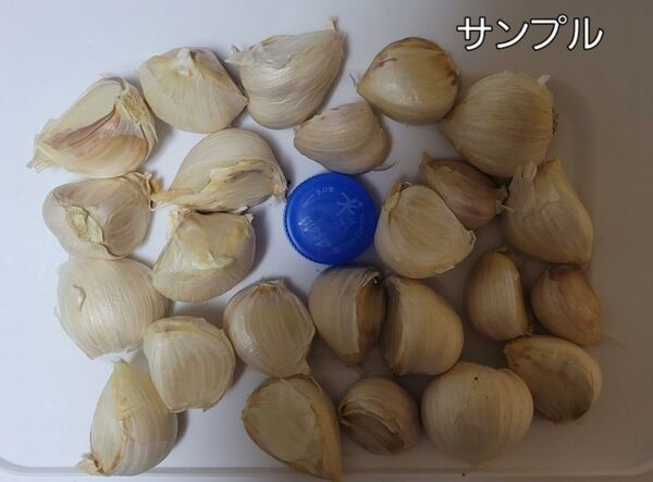 ③R7年度産 国産 農薬不使用栽培のホワイト6片 ニンニク