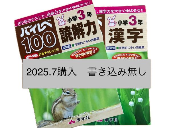 小学3年 奨学社 ハイレベル100 読解力 漢字 2冊セット