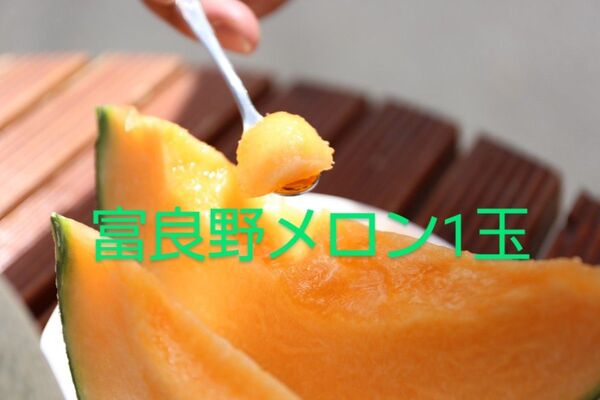 富良野メロン 1玉入ギフトボックス入