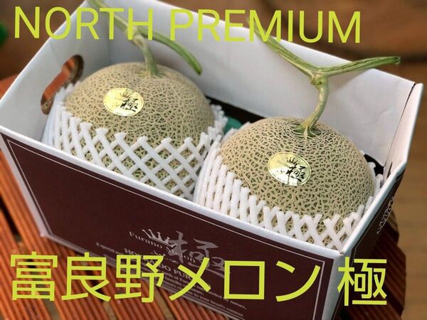 メロン 2玉入り(富良野メロン極) NORTH PREMIUM 特大2玉入