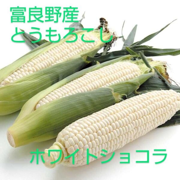 富良野産 ホワイトショコラ とうもろこし10本入