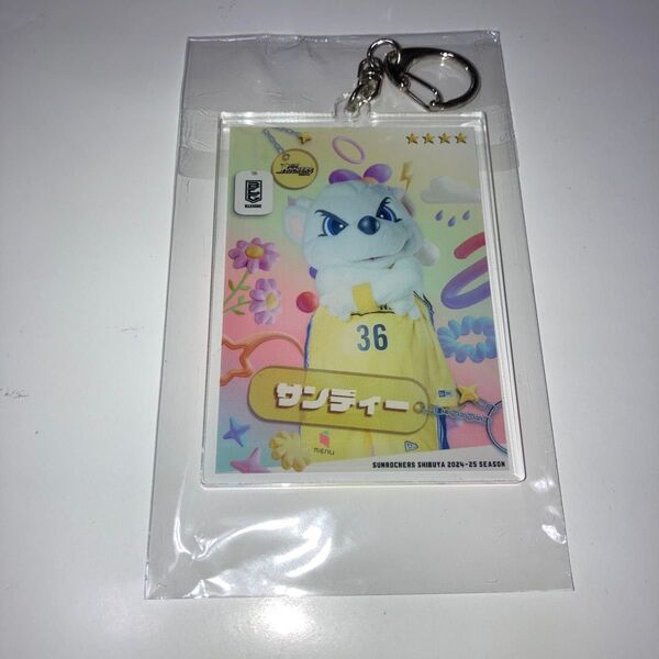 Bリーグ くじプラ サンディー アクリルキーホルダー