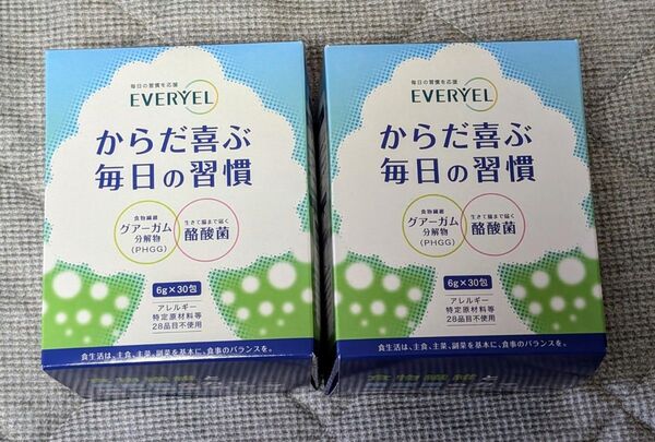 EVERYEL からだ喜ぶ毎日の習慣 6g x 30包入 2箱 賞味期限2027.08 腸内フローラ 食物繊維 酪酸菌