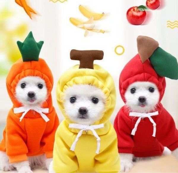 犬 わんちゃん 服 ドッグウェアトレーナー りんご コスプレ