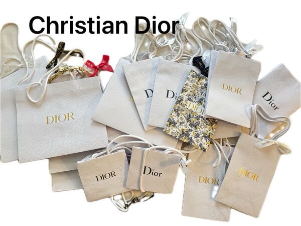 ★再値下げ★DIOR クリスチャンディオール ショッパー 紙袋 ショップ袋 ディオール Dior 詰め合わせ 21枚セット