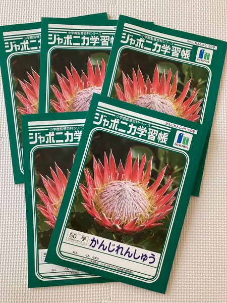 ジャポニカ学習帳 漢字練習帳 漢字ノート 50字 かんじれんしゅう 5冊セット