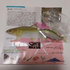 アユ 日本のいきもの03 ネイチャーテクニカラー 新品未使用