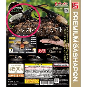 ヘラクレスリッキー いきもの大図鑑アドバンス ヘラクレスオオカブト 新品未開封
