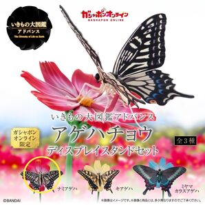 いきもの大図鑑アドバンス アゲハチョウ ナミアゲハ オンライン版 新品未開封