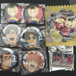 ハイキュー!! 缶バッジ グッズ アクリルキーホルダー セット アニメ お名前バッジ 10周年アニメ展 音駒高校 烏野高校