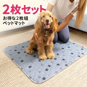 【2枚セット・お得!】ペットマット 50×70cm 犬 猫 防水 速乾 洗える おしっこマット ペットシーツ