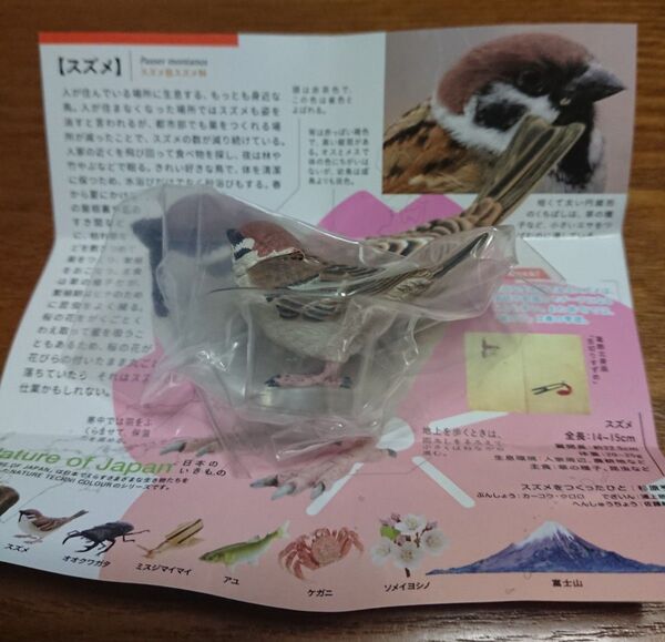 Nature of Japan 日本のいきもの 03 スズメ