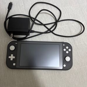 SwitchLight 充電器付き Nintendo Switch Lite 64GSDカード付き