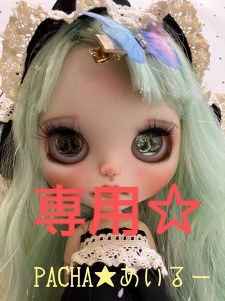 最終値下げカスタムアイシードール