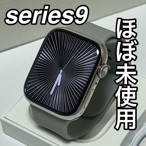 【極美品】Apple Watch series9 45mm ステンレスモデル